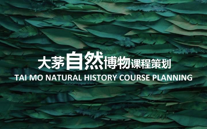大茅自然博物课程策划 TAI MO NATURAL HISTORY COURSE PLANNING