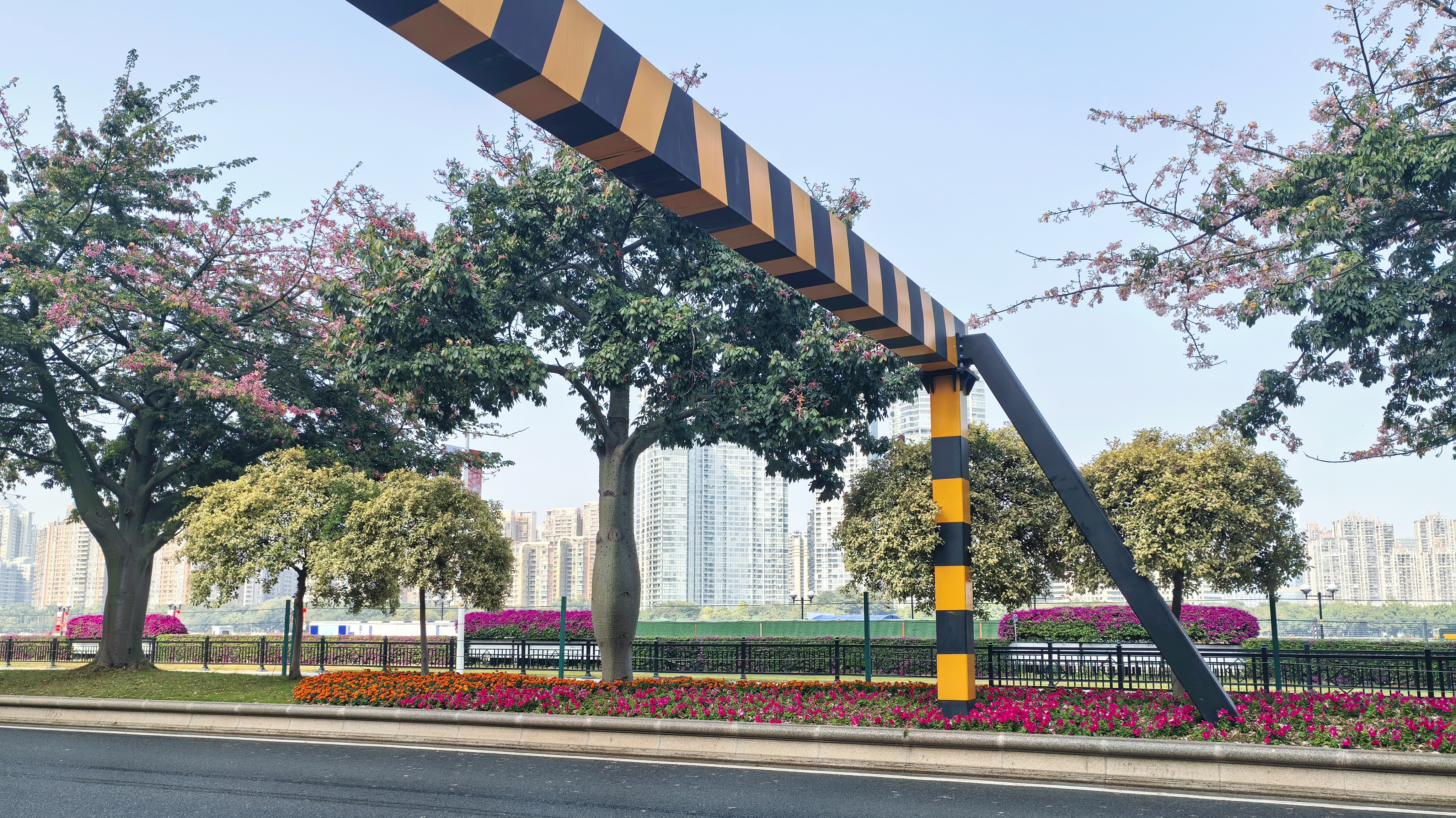 广州江边绿化带