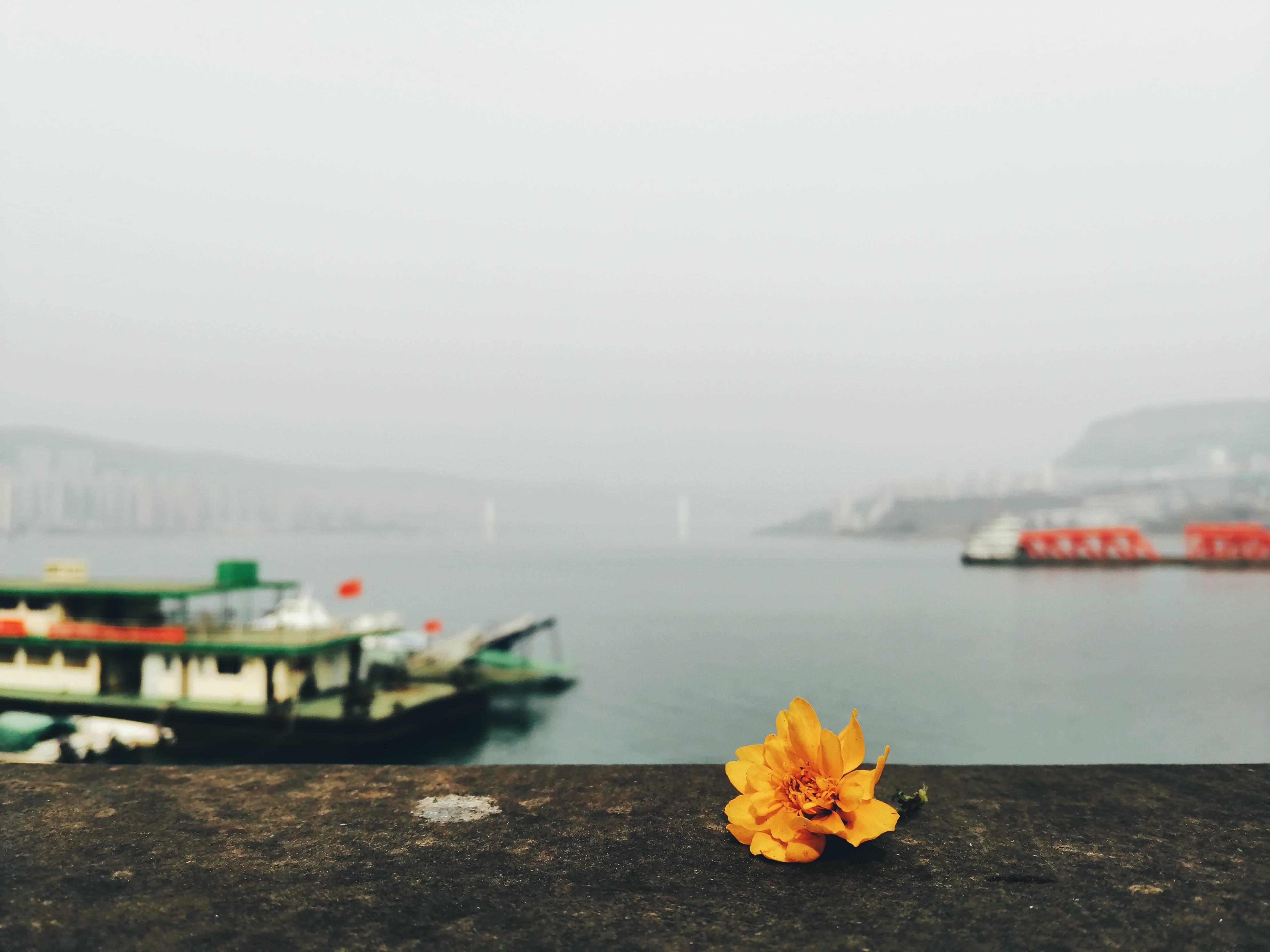 小城风景