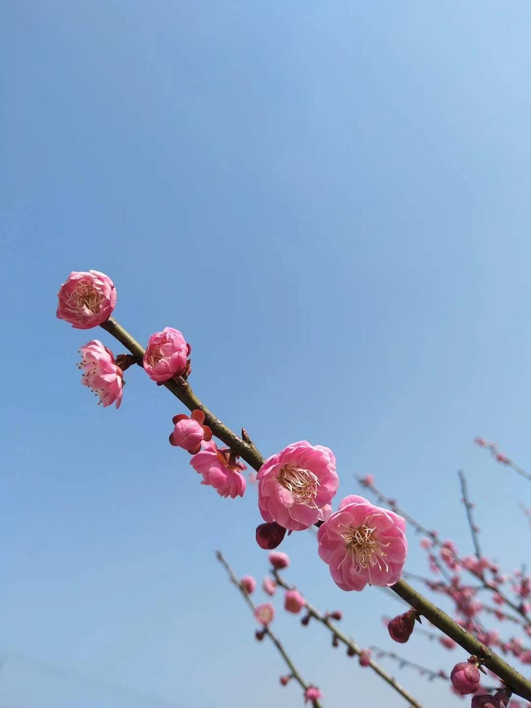 江南雨烟