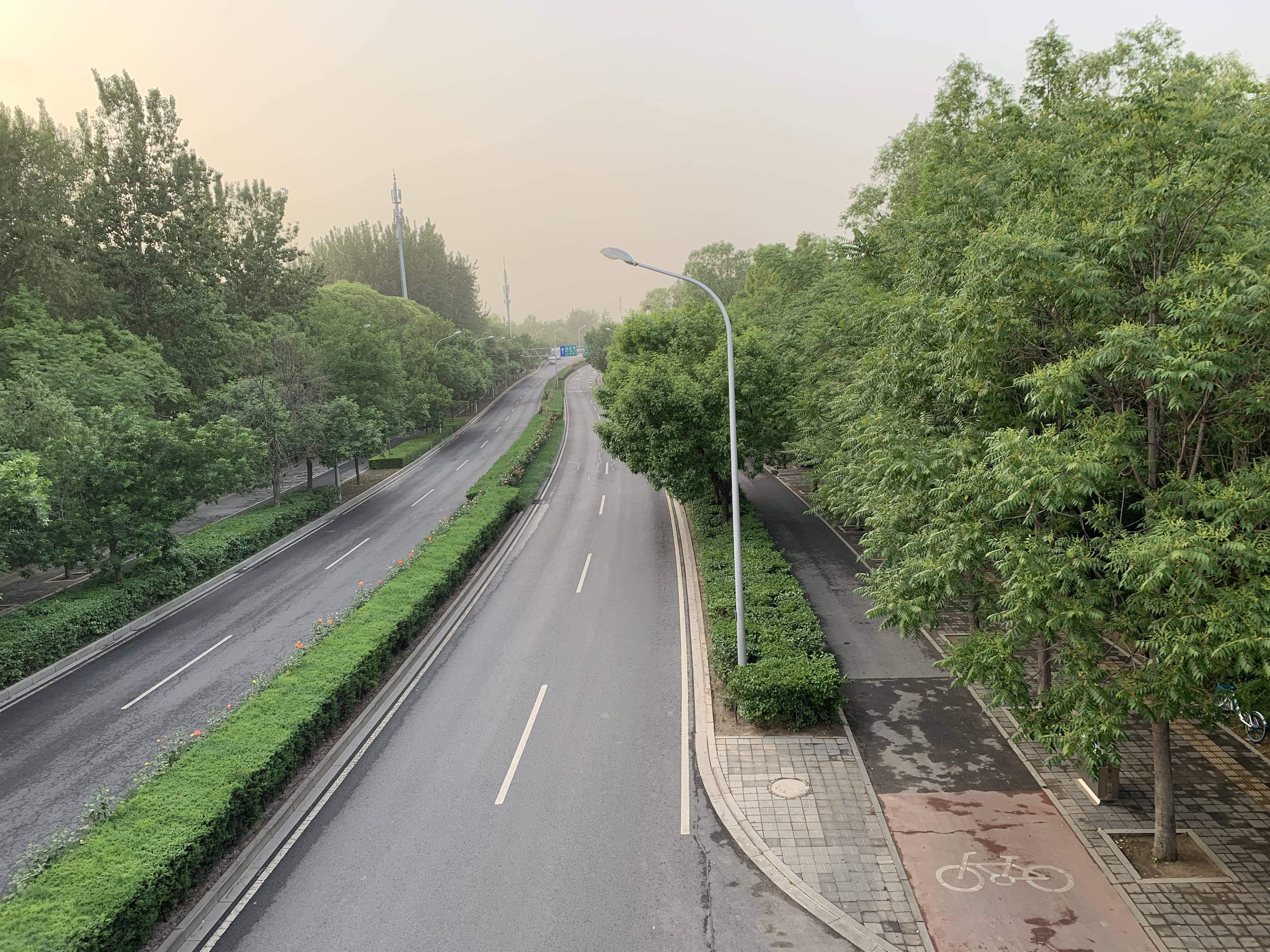 雨后的奥林匹克森林公园