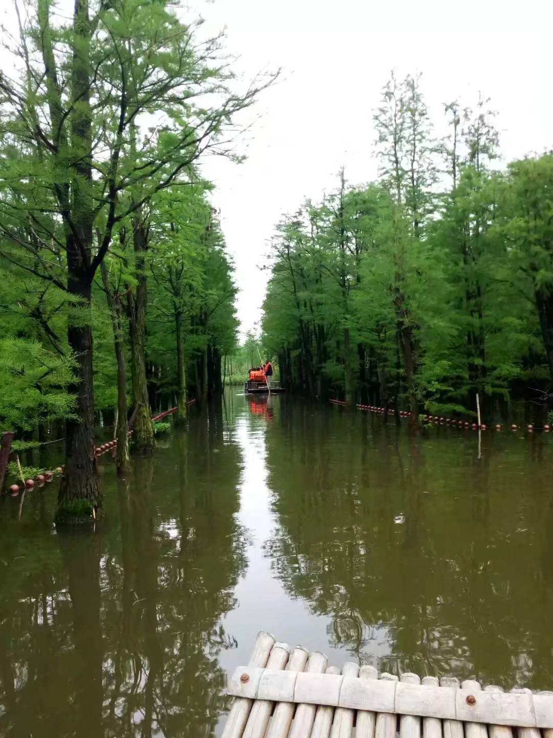 生态环境