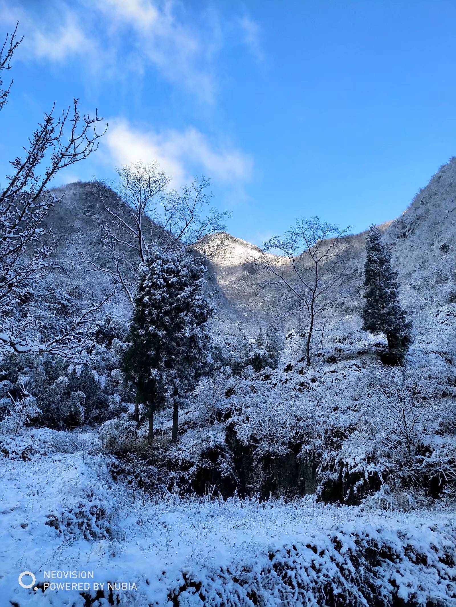 雪后初晴