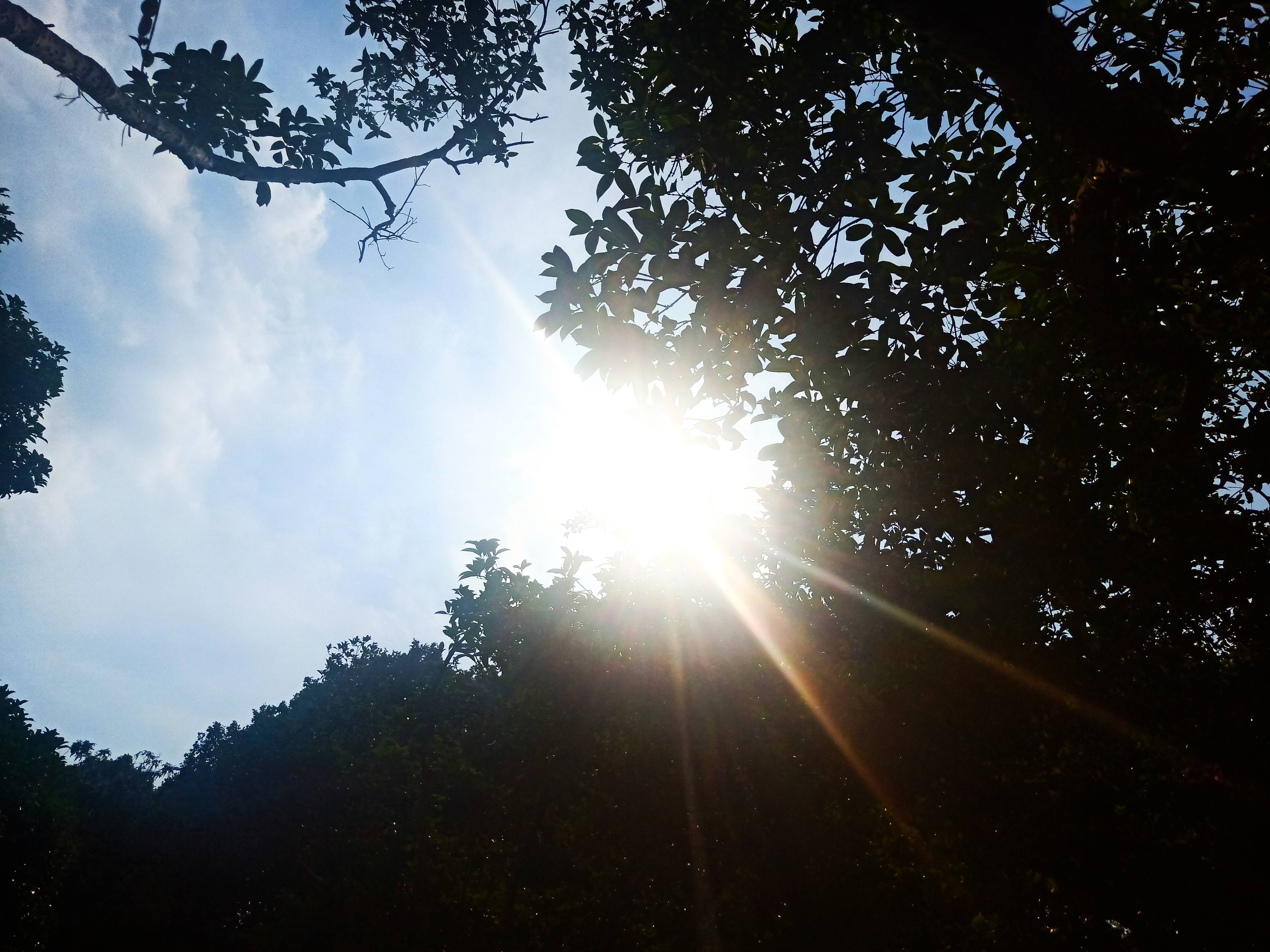 今天你青年大学习了吗