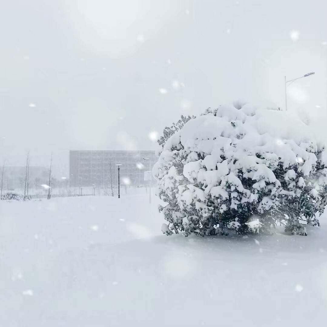 大好时光——我的大学