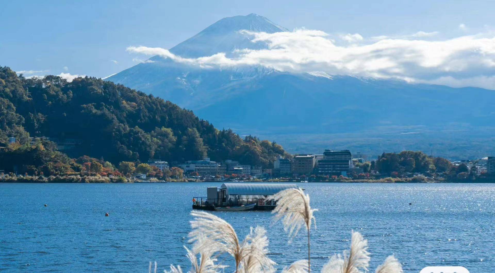 《面朝大海春暖花开》