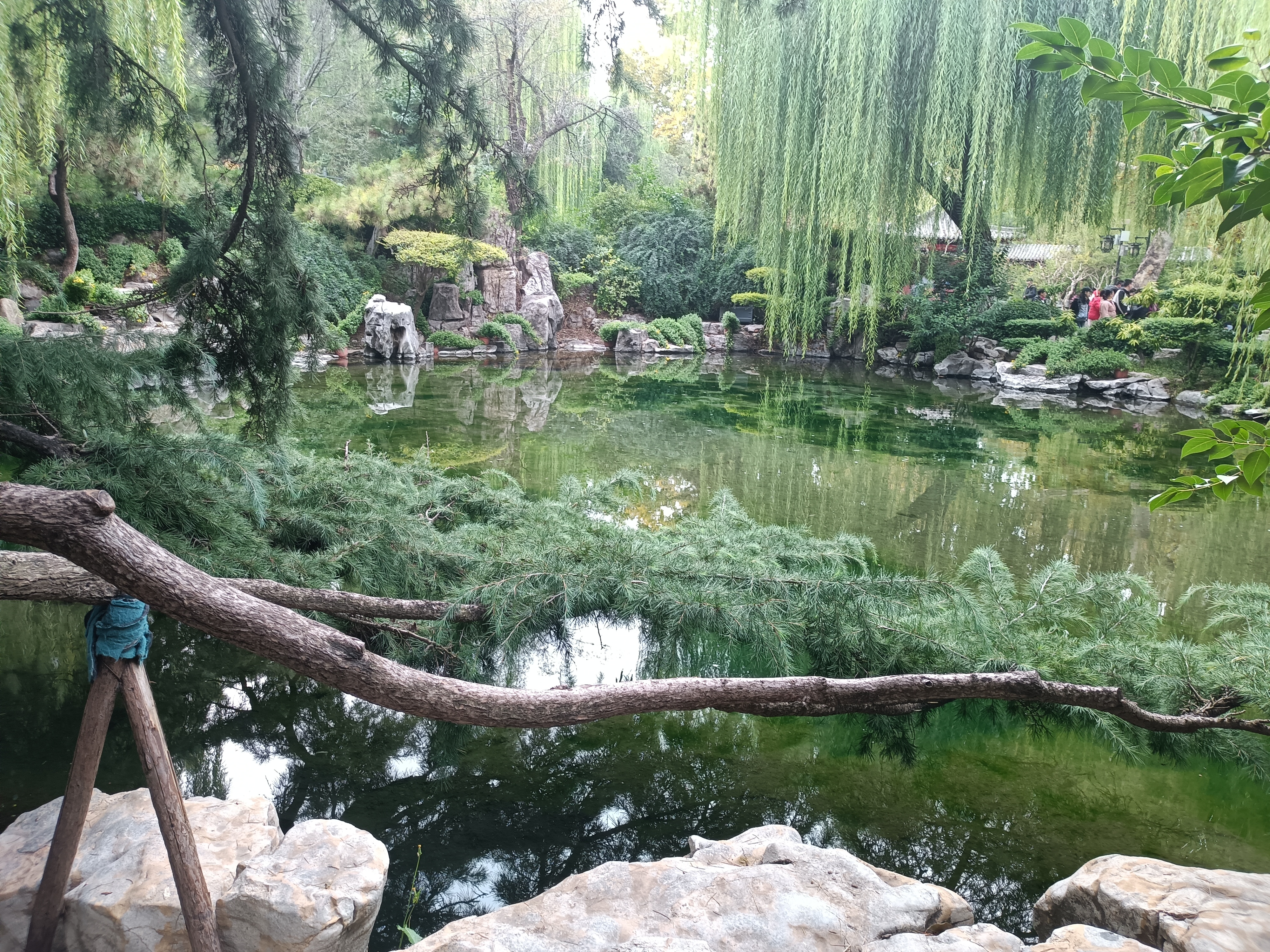 抓住身边的“小美好”