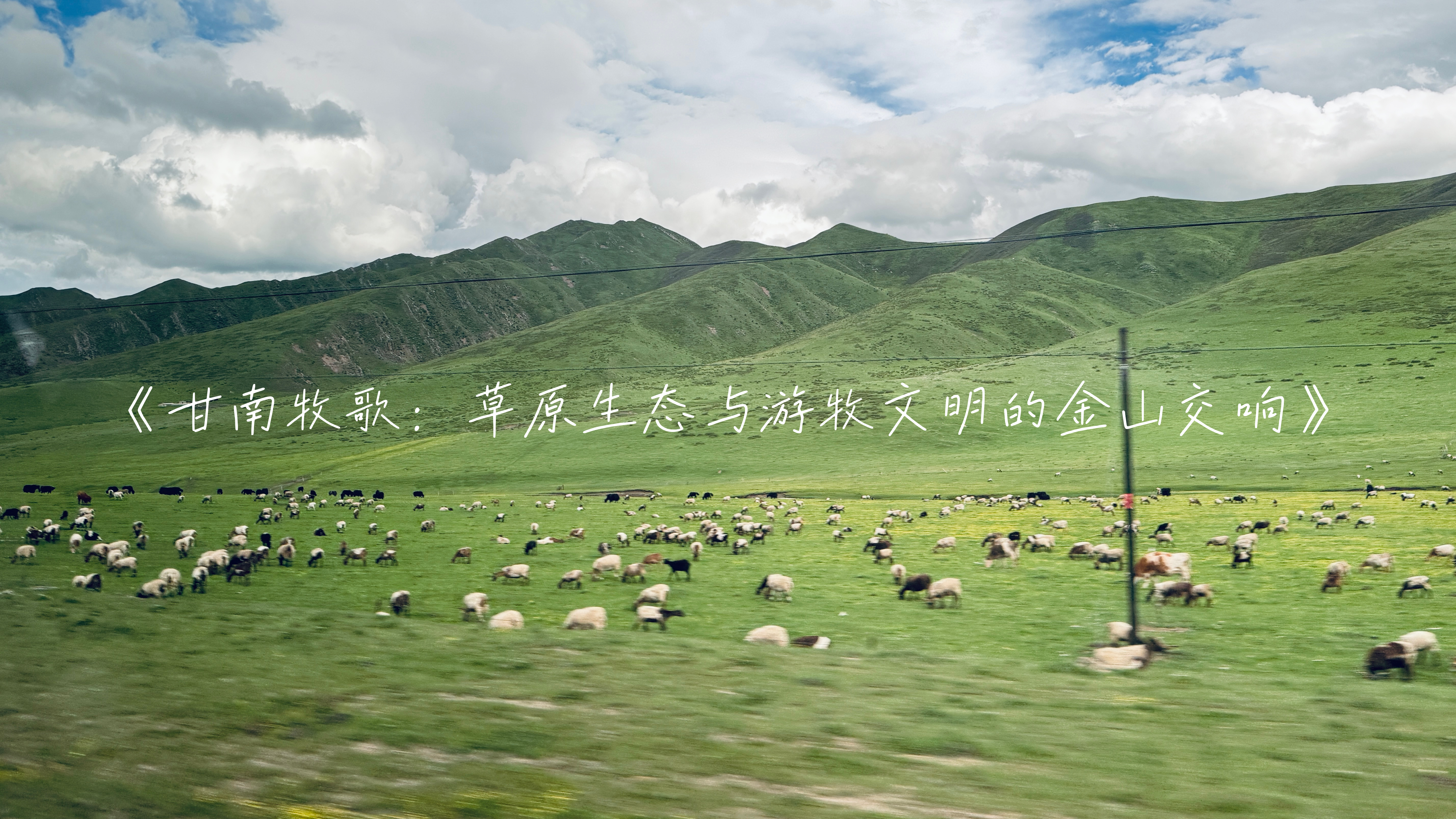 《甘南牧歌：草原生态与游牧文明的金山交响》