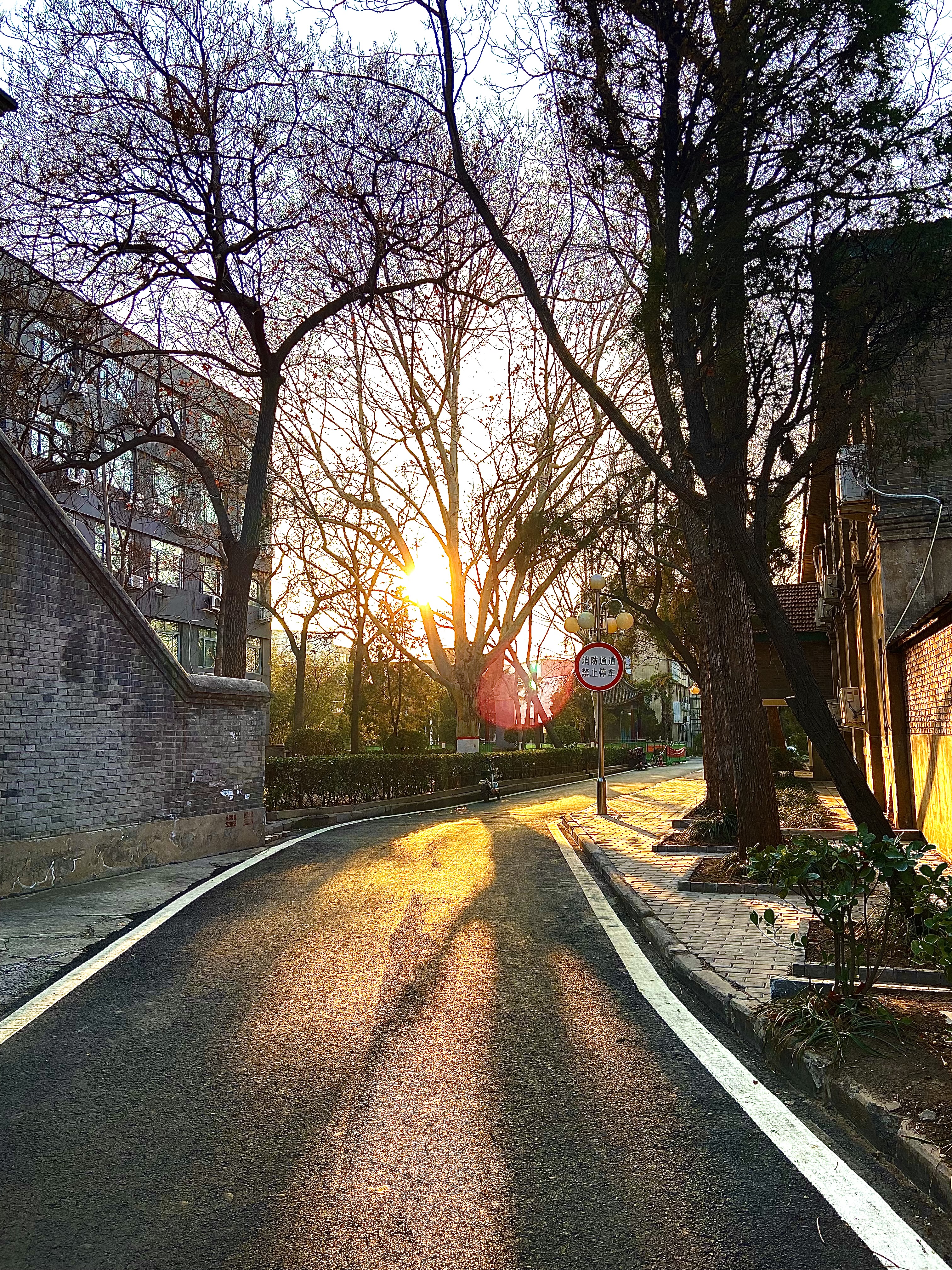 通往幸福的小径