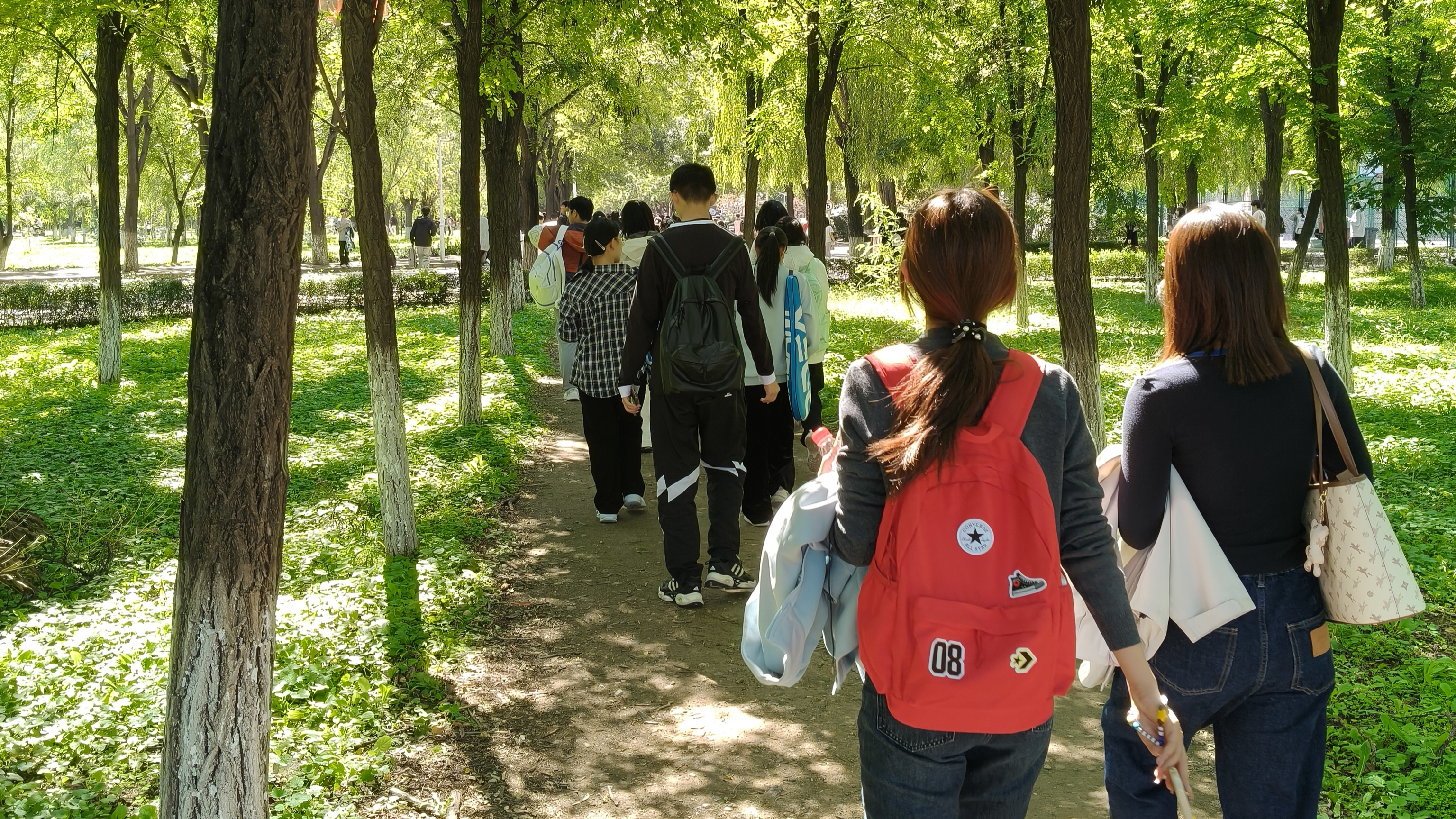 溜进夏的荫凉里