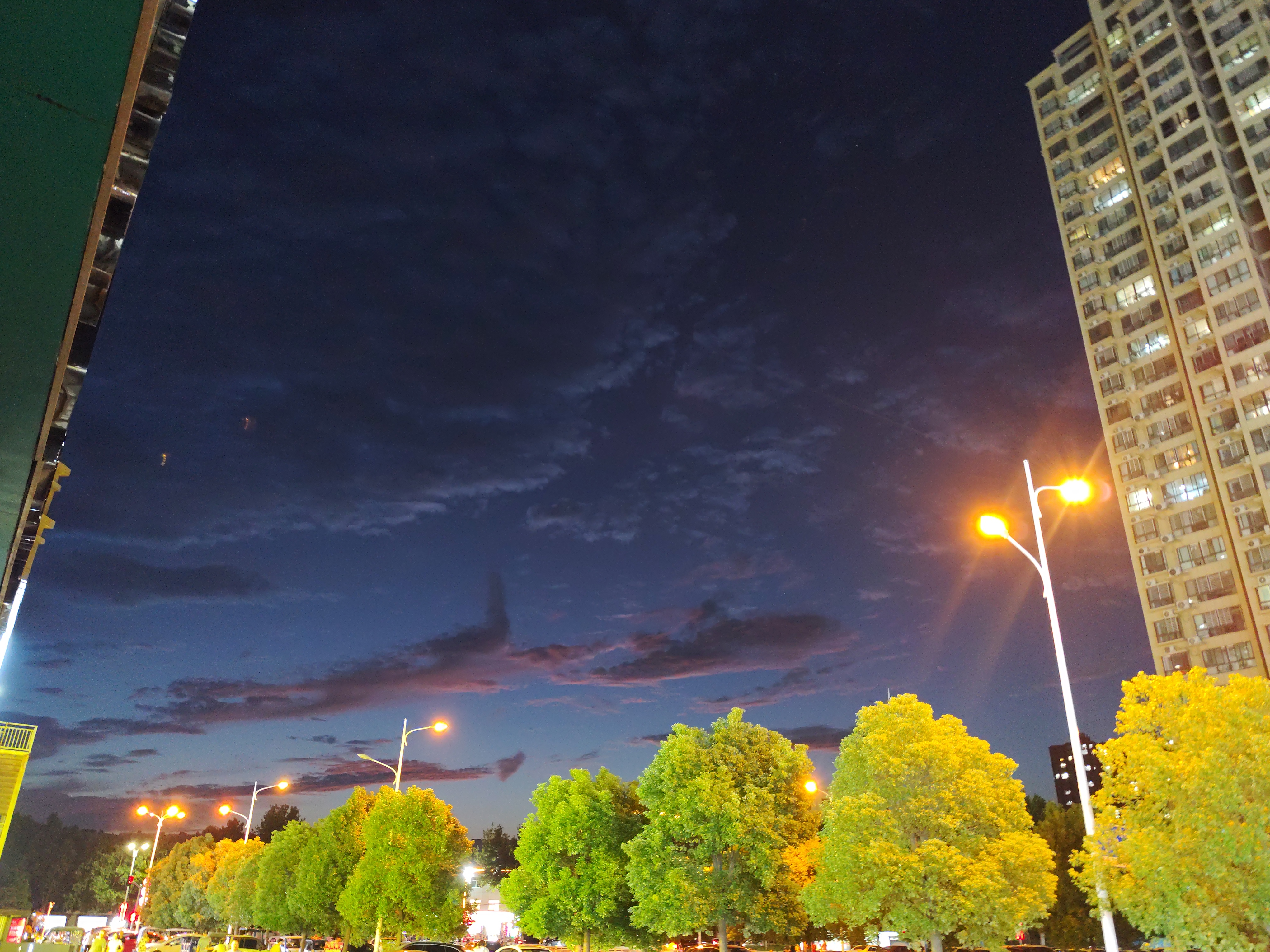 琥珀夏夜与云豚之梦