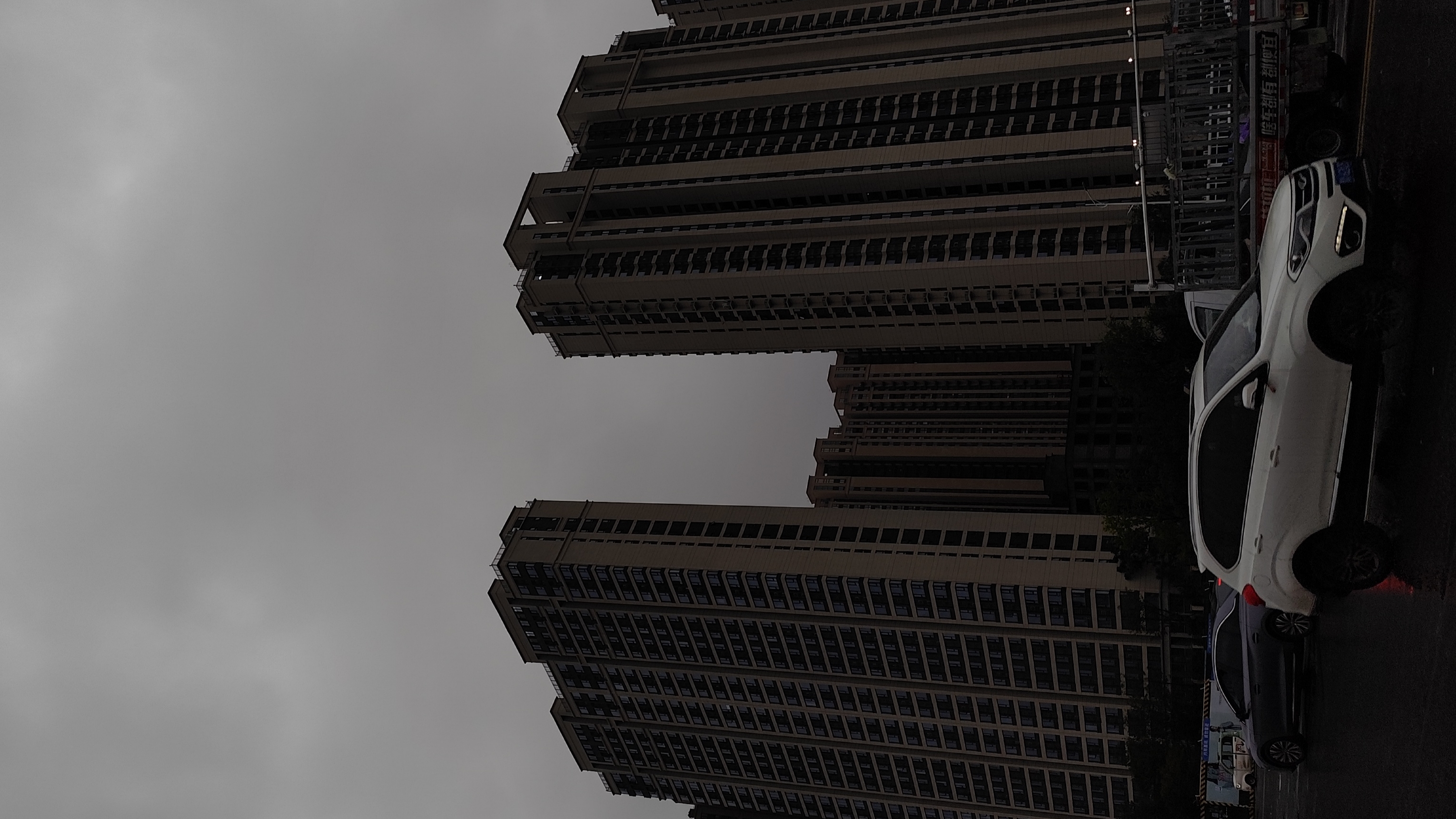 都市峡谷中的方舟