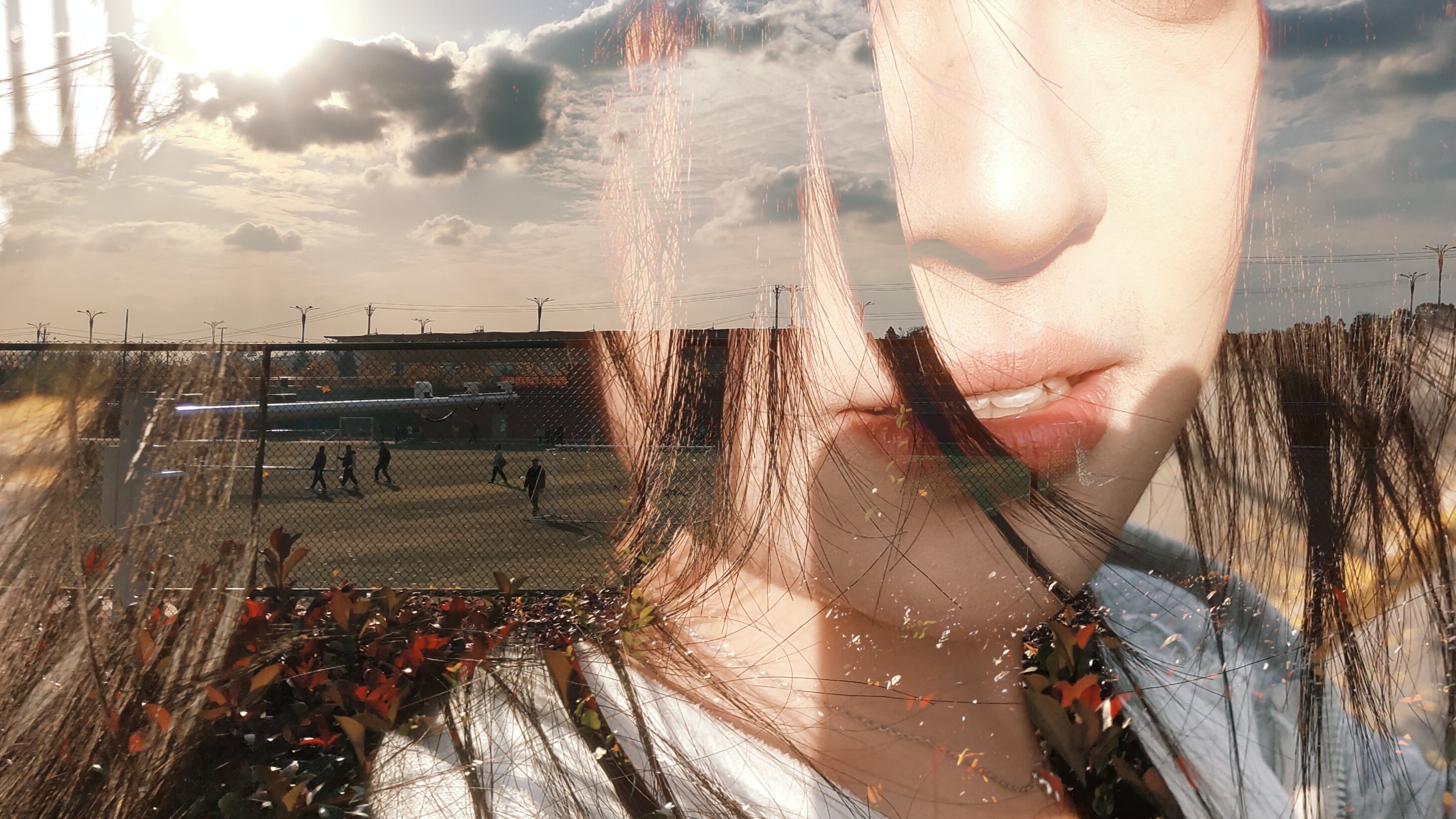 《秋日叠影里的轻喃》