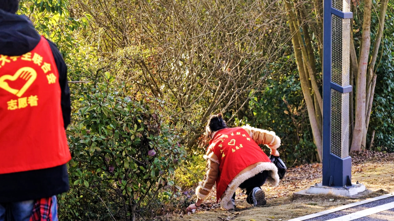 《暖阳下的志愿绿意》