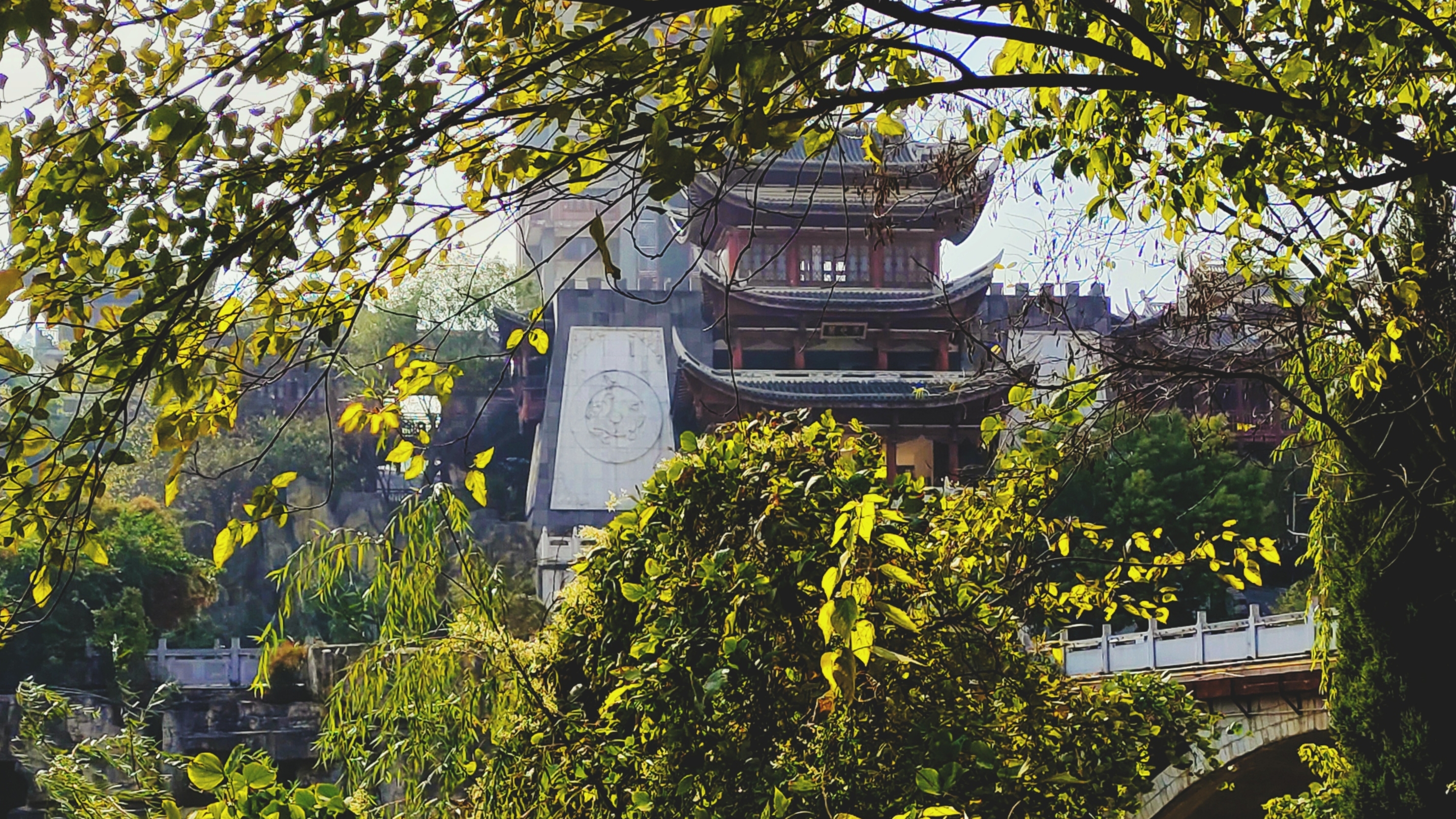 《秋枝里的古建闲景》 ​