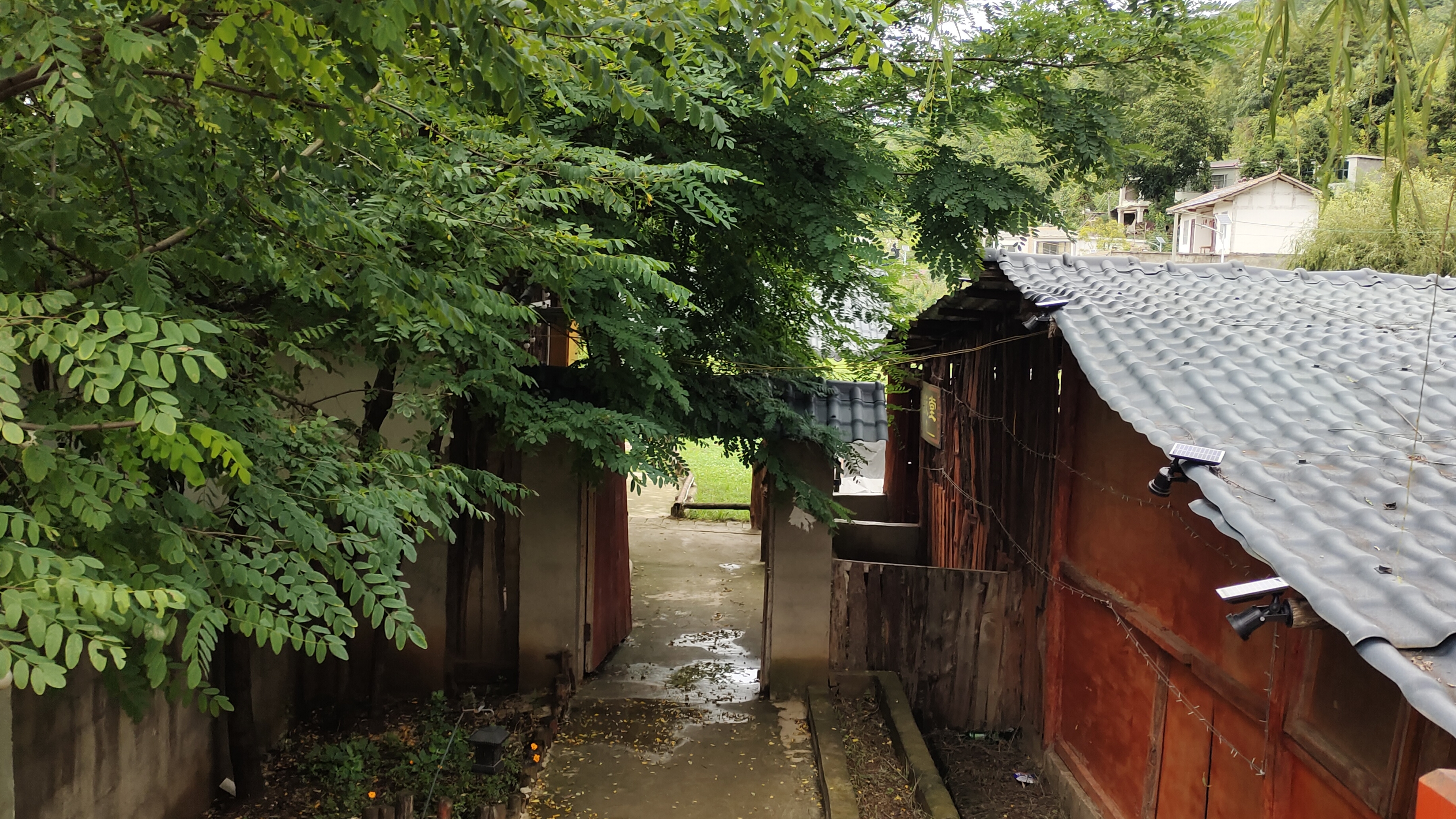 《绿荫裹着的乡舍闲径》