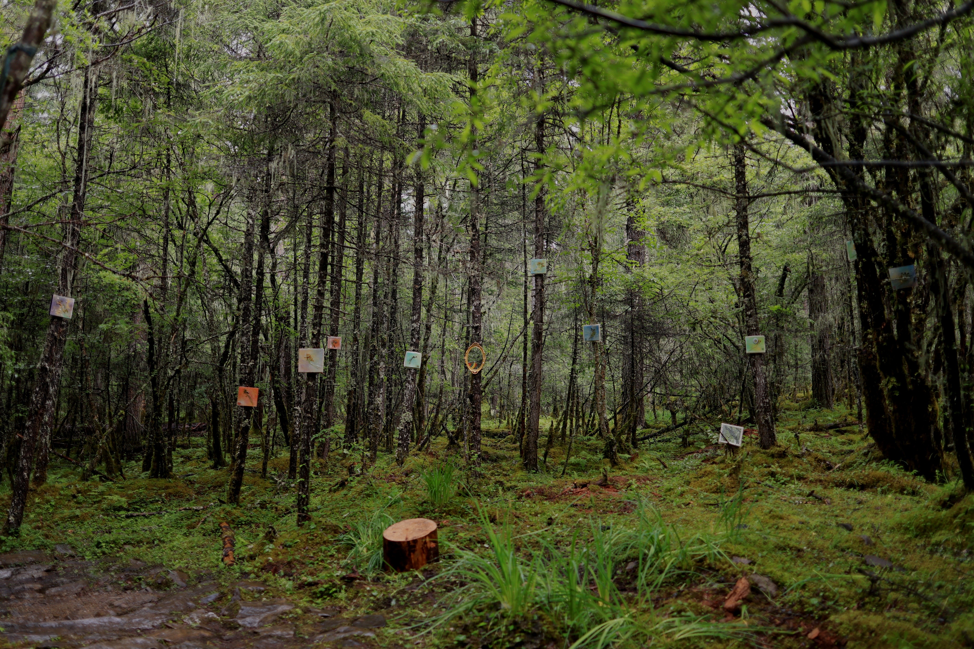山是地质年代极其缓慢的浪