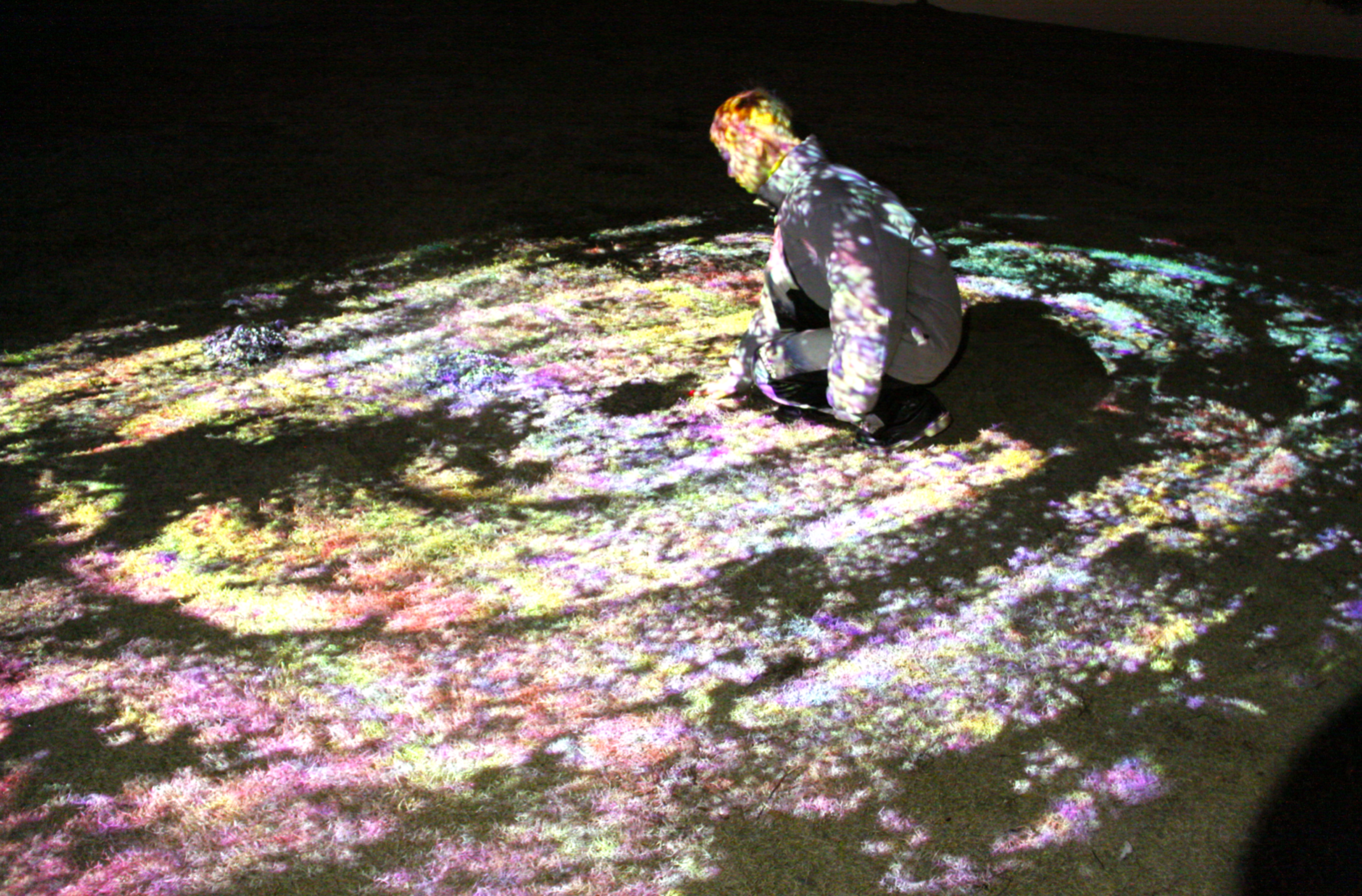 容器，经流，阻碍物  Container, Flow, and Obstruction