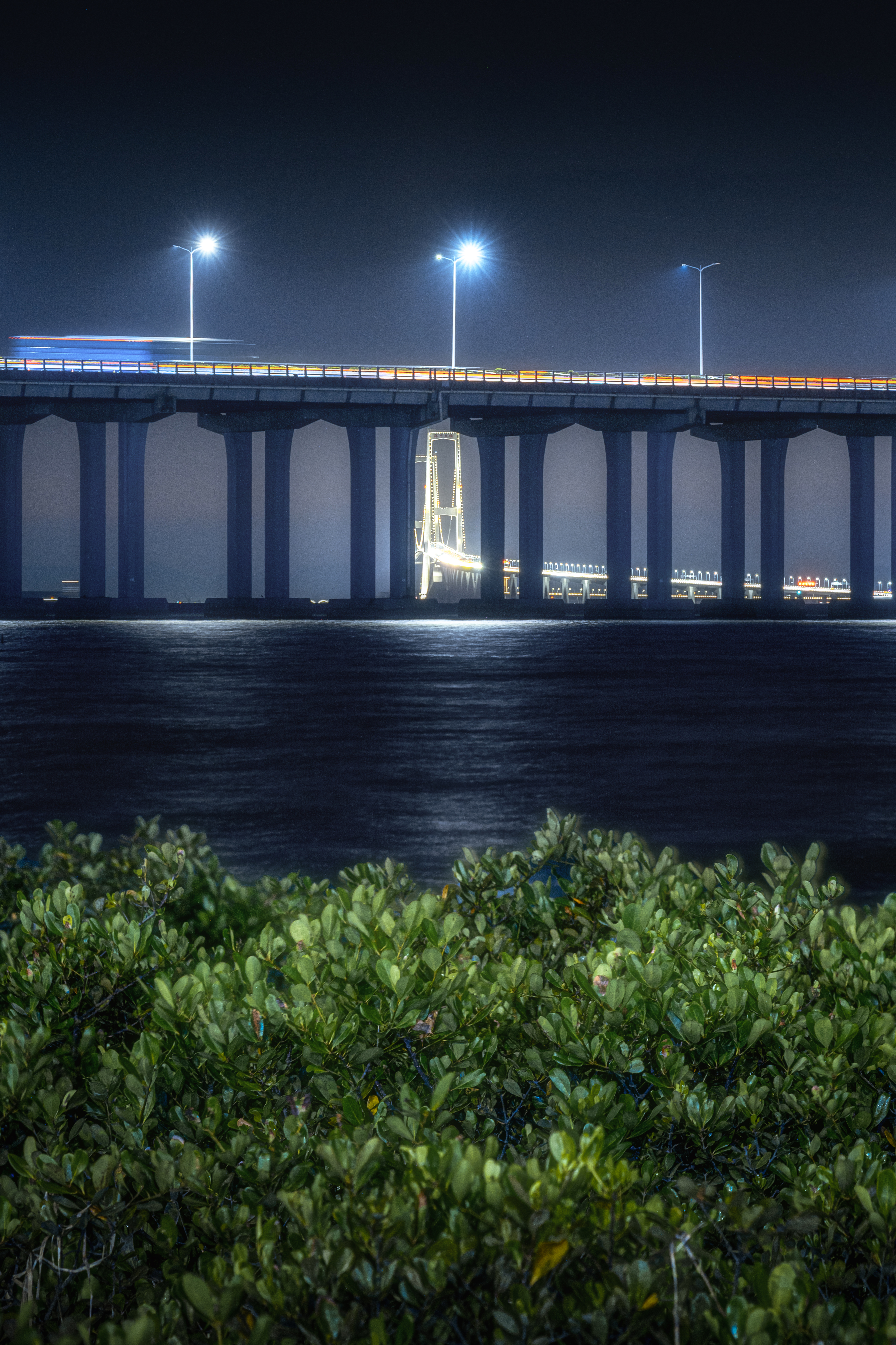 《新旧相映城风骨，昼夜同辉鹏气象》