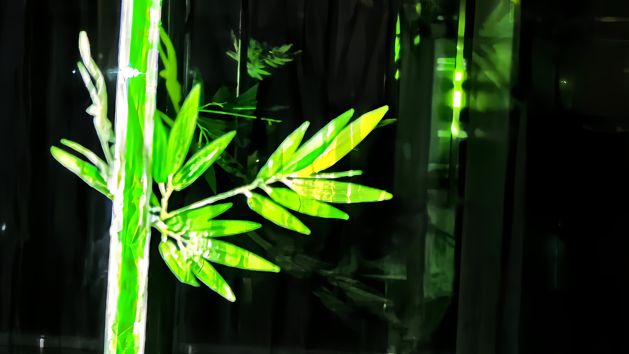 摇曳：罄竹难书