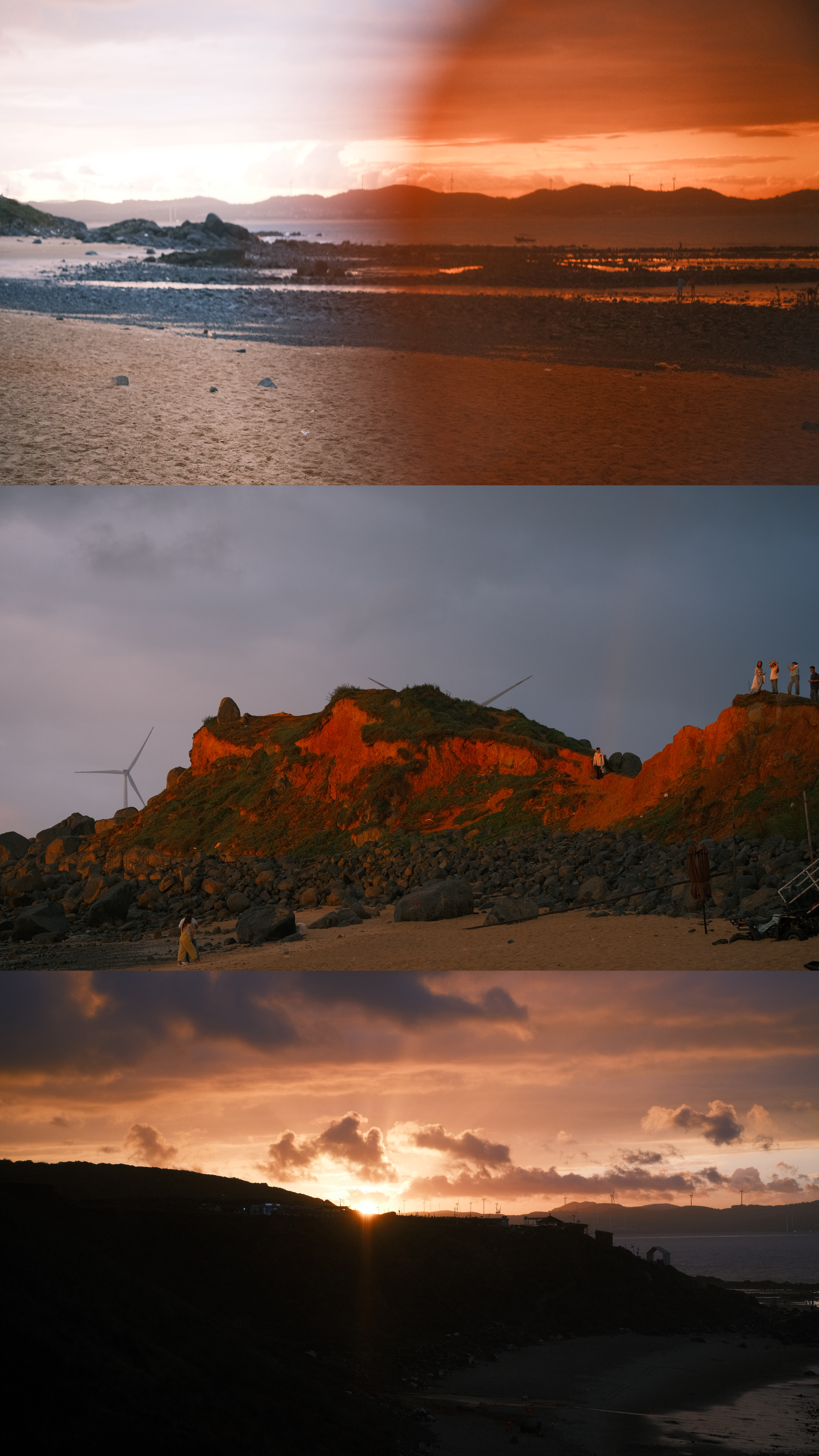 《滩涂的回响》