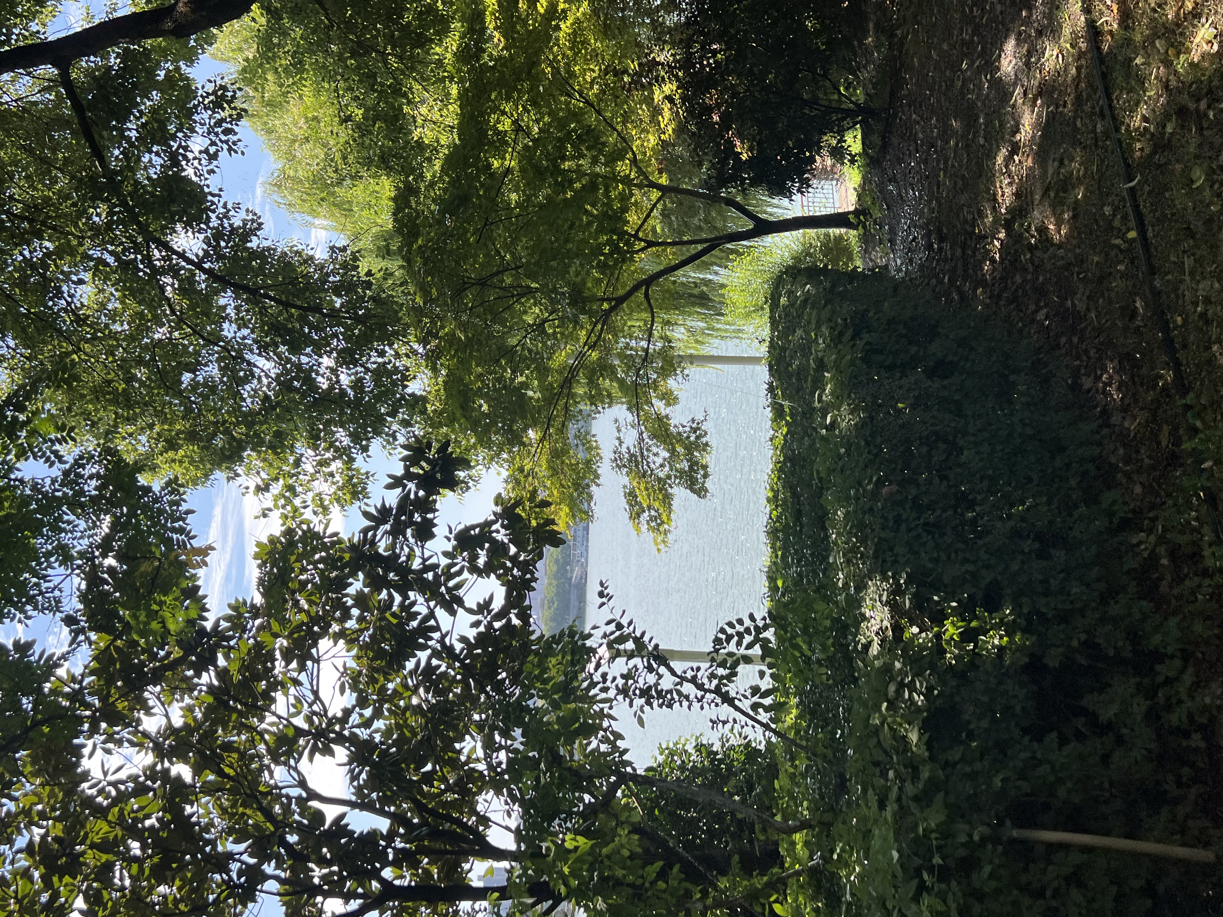 藏在绿意里的湖