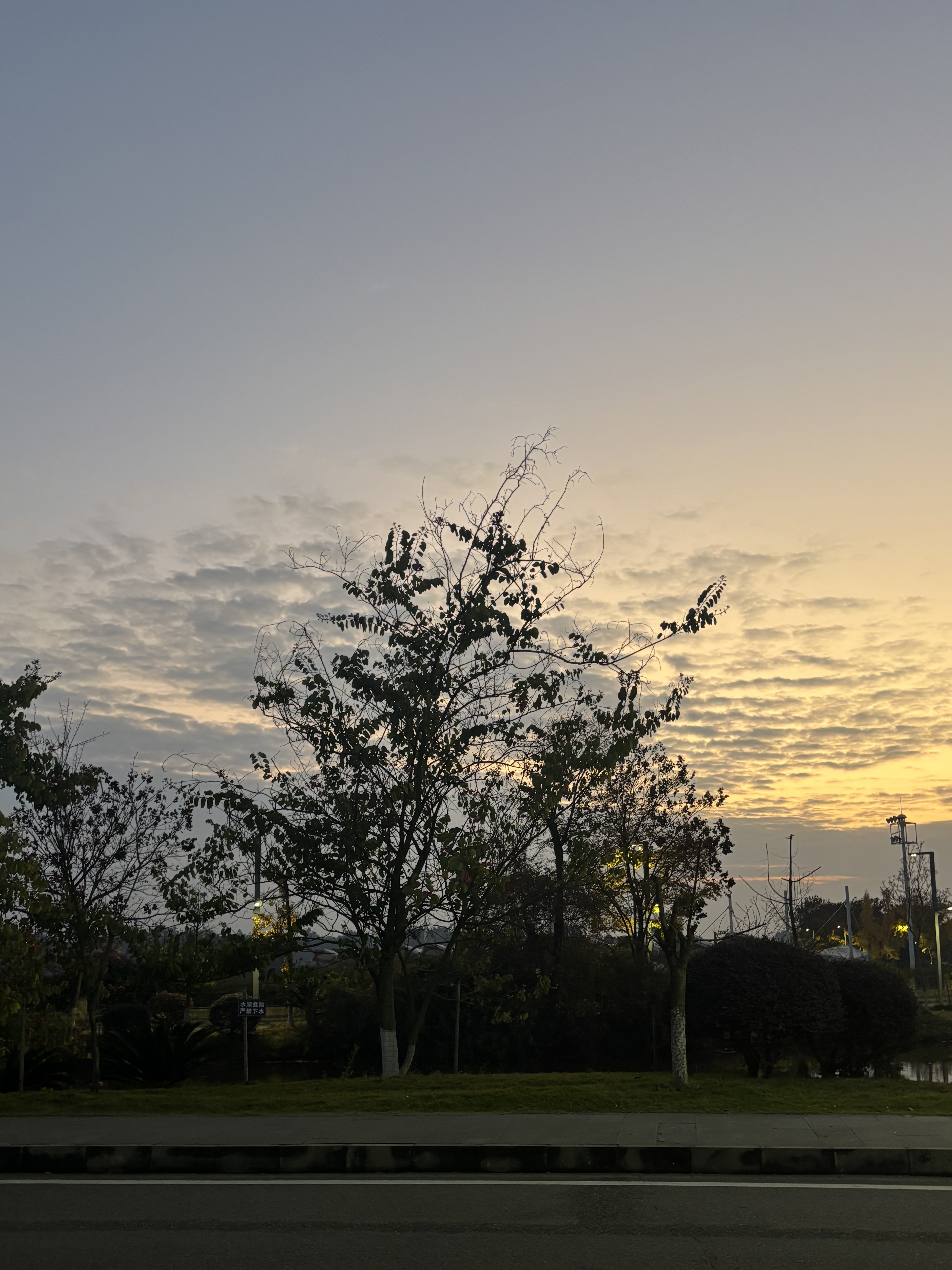 黄昏把云朵染成蜜色，树影沉默成诗