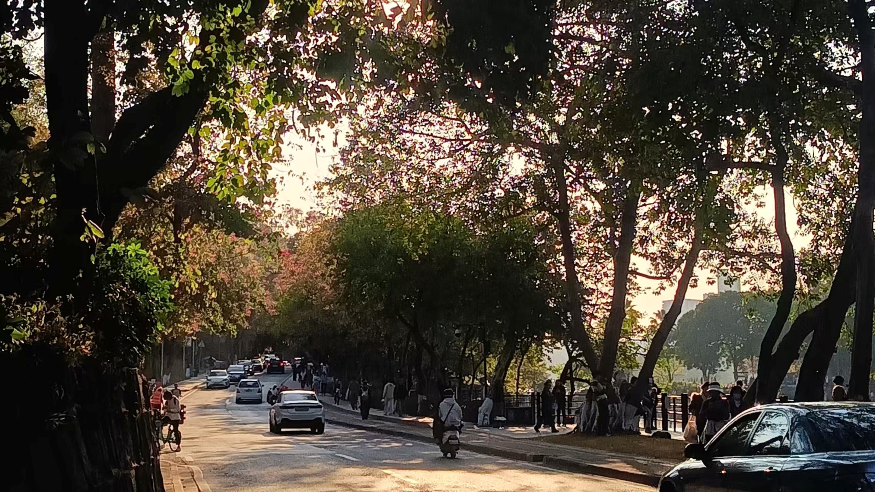 定格社会印记，洞察民生美好